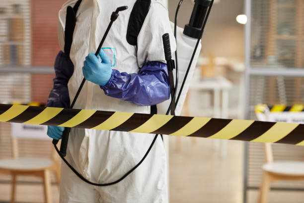 Professional Sewage Cleanup technician working in Westley, CA